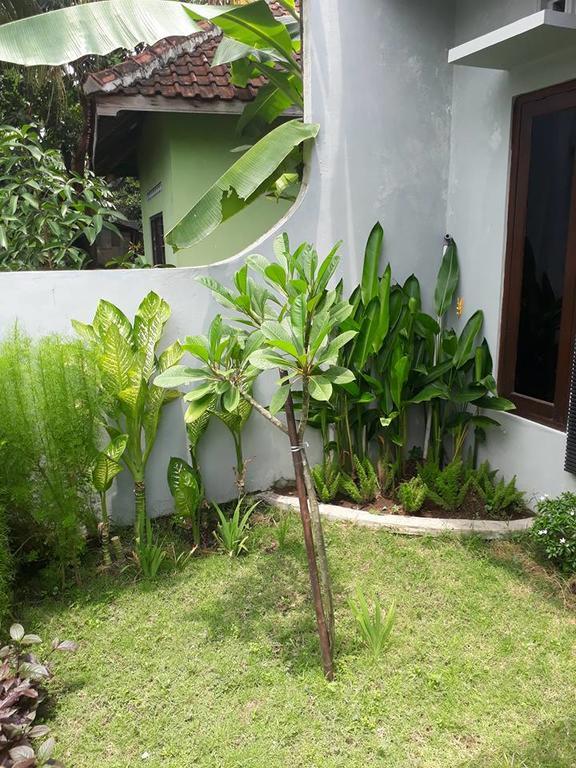 Renaya Griya Hotel Salakan Buitenkant foto